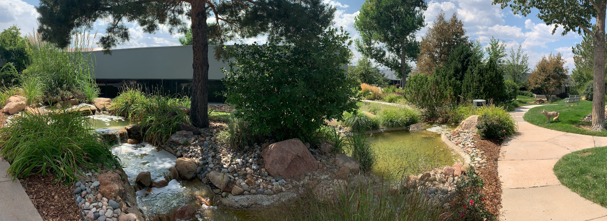 The Commons nature area